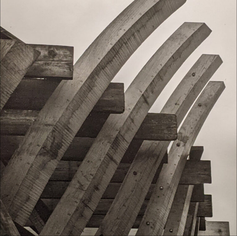 12C, photo de Denis Viaud