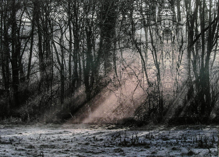 LE-PAGE-Marc-berry-fantastique, photo de Marc Lepage