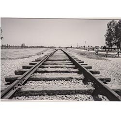 Photo 17 de la série « fuite » par Gregory BOUE