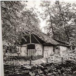 Photo 3 de la série « guédelon » par Jean-Pierre BEGAUT