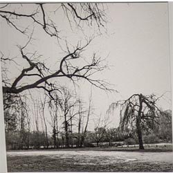 Photo 5 de la série « matin d'hiver » par Jean-Pierre BEGAUT