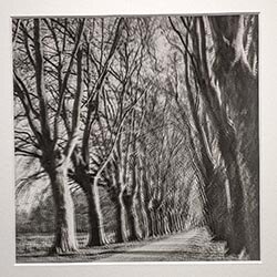 Photo 59 de la série « allée des ténèbres » par Jean-Yves MAGUERO