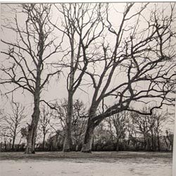 Photo 6 de la série « matin d'hiver » par Jean-Pierre BEGAUT