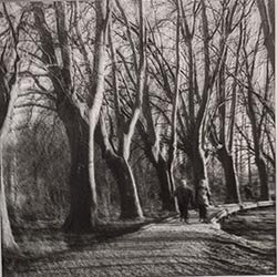 Photo 61 de la série « allée des ténèbres » par Jean-Yves MAGUERO