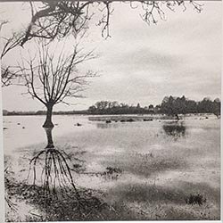 Photo 62 de la série « reflet de la nature » par Jean-Yves MAGUERO