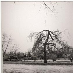 Photo 7 de la série « matin d'hiver » par Jean-Pierre BEGAUT