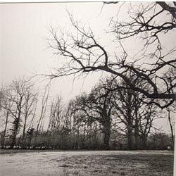 Photo 8 de la série « matin d'hiver » par Jean-Pierre BEGAUT