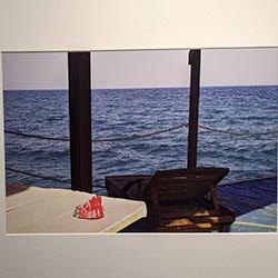 Photo 84 de la série « fin de saison » par Jean-Michel ROCHE