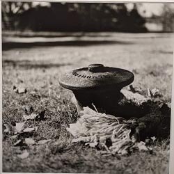 Photo 96 de la série « amarres rompues » par Denis VIAUD