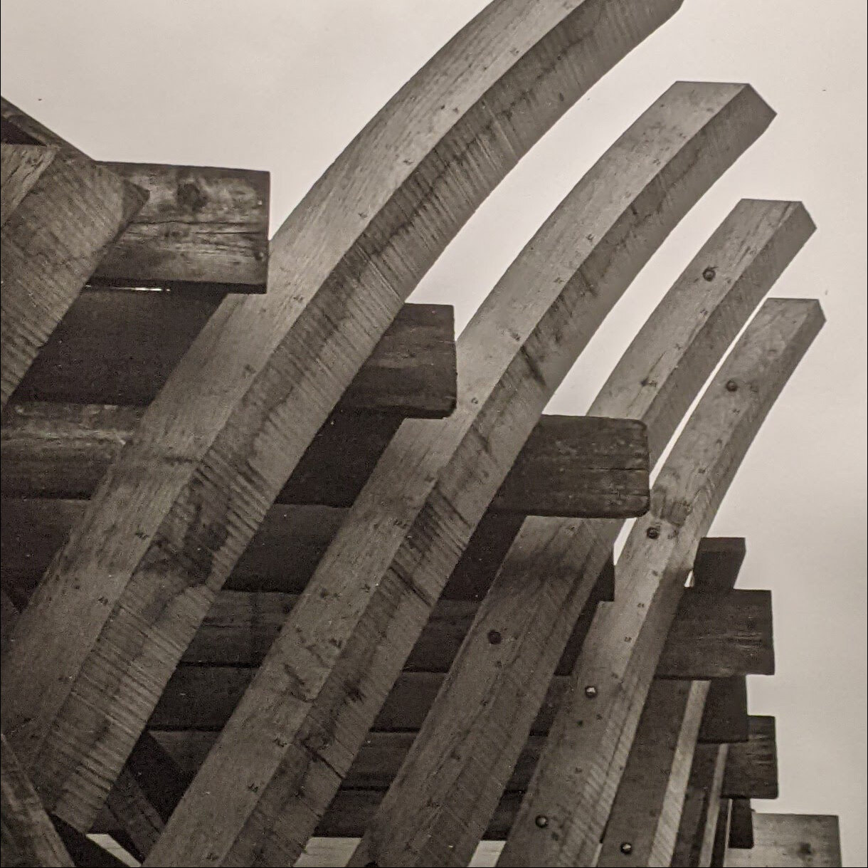 Photo 12C de la série « Genése » par Denis VIAUD