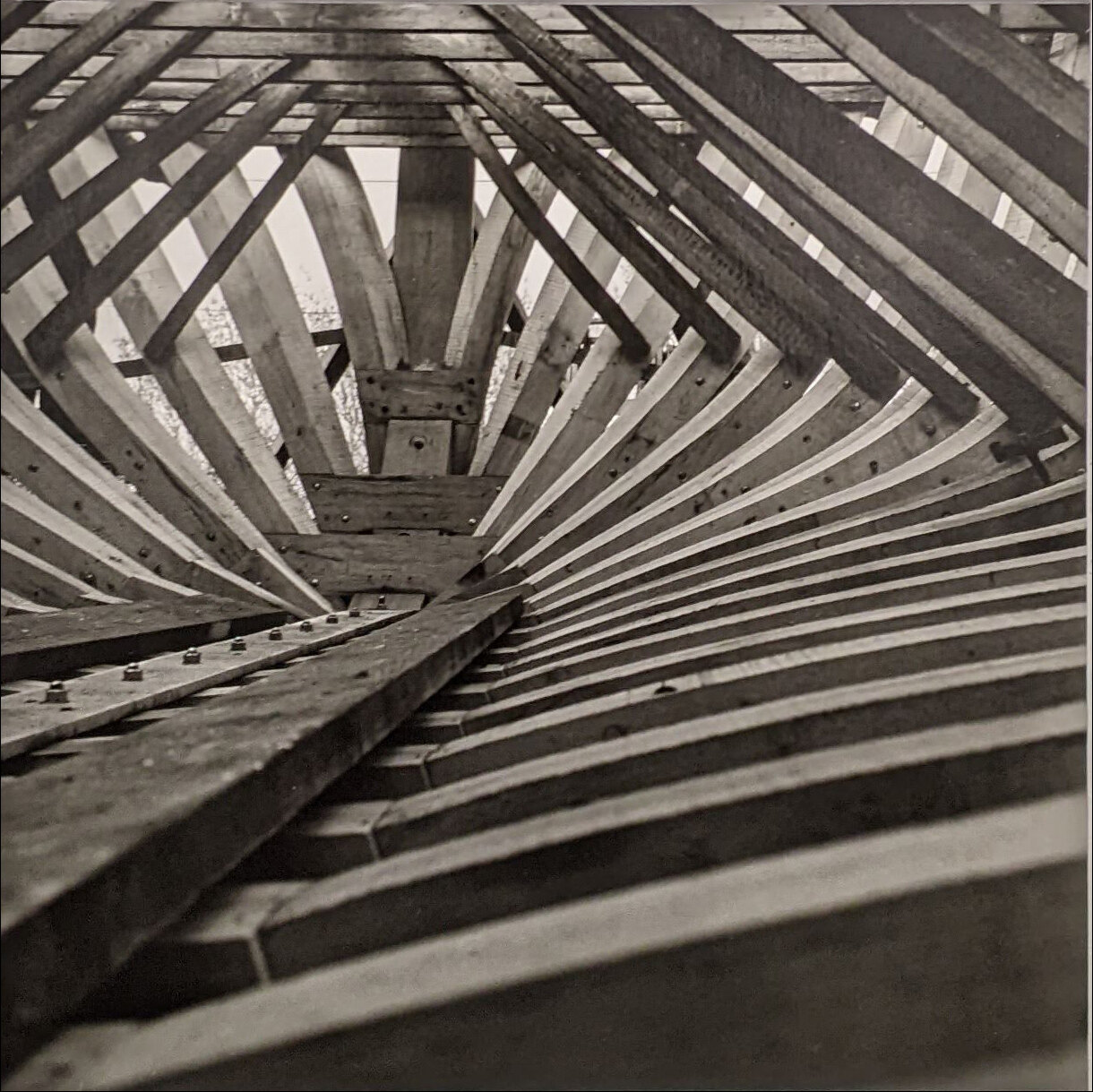 Photo 12D de la série « Genése » par Denis VIAUD