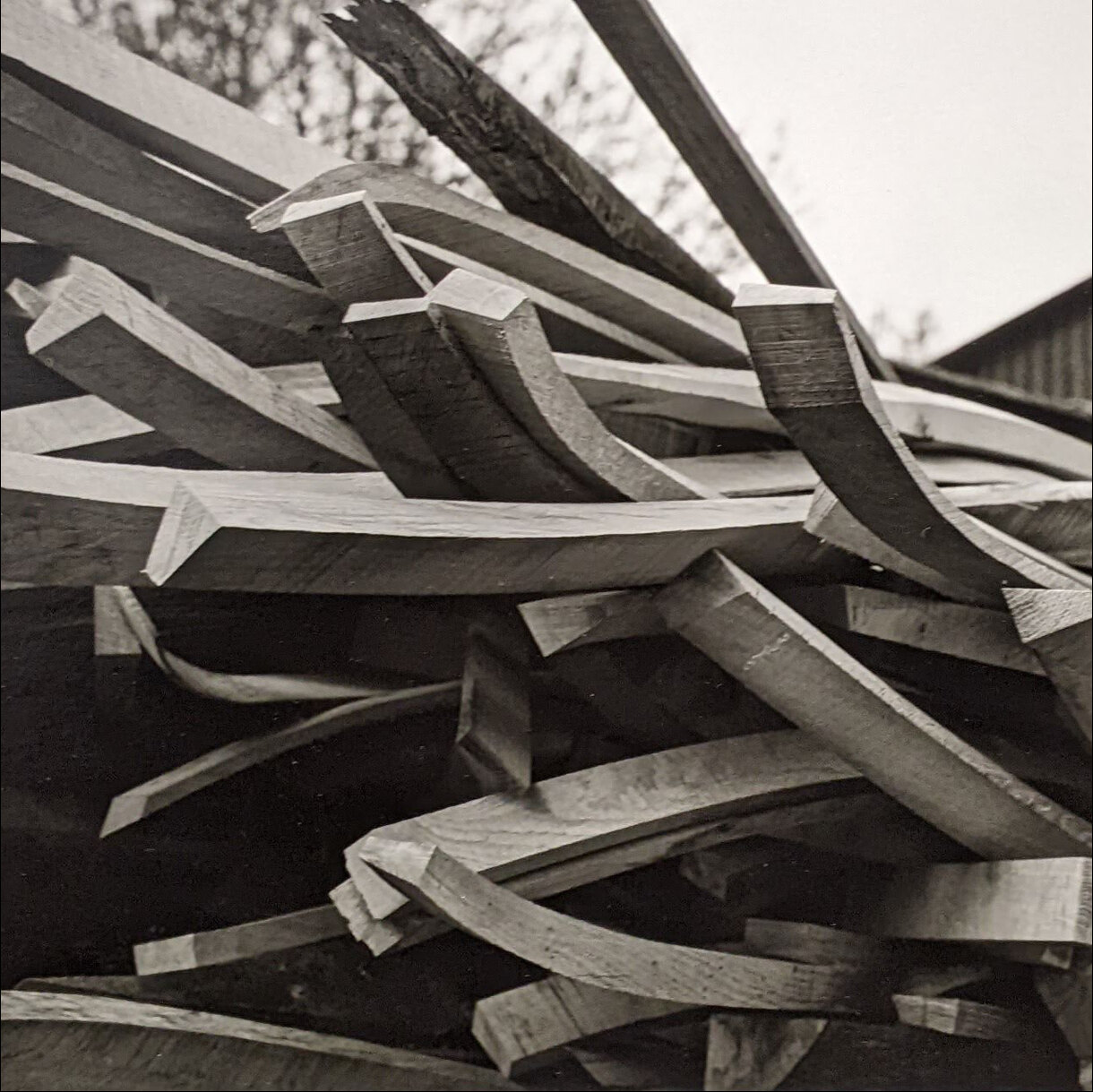 Photo 12F de la série « Genése » par Denis VIAUD