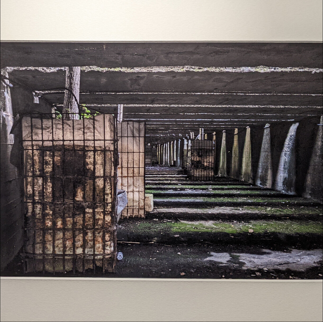 Photo 22A de la série « Lumière des profondeurs » par Erwann CAILLAREC