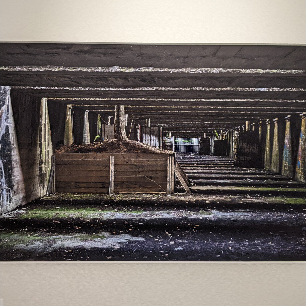Photo 22B de la série « Lumière des profondeurs » par Erwann CAILLAREC