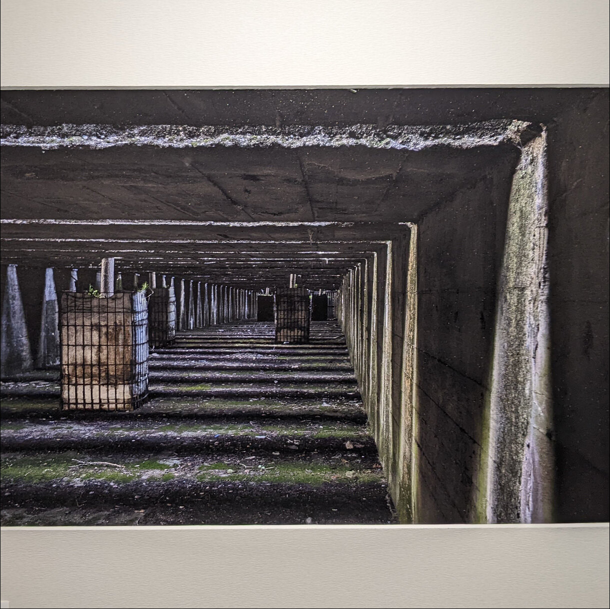 Photo 22C de la série « Lumière des profondeurs » par Erwann CAILLAREC