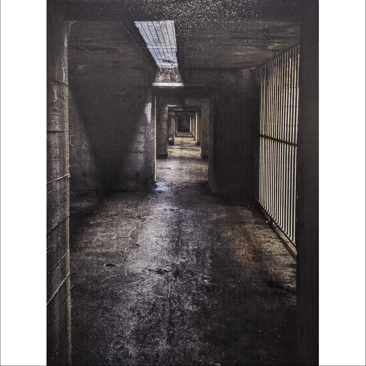 Photo 23A de la série « Les racines dans le béton » par Erwann CAILLAREC