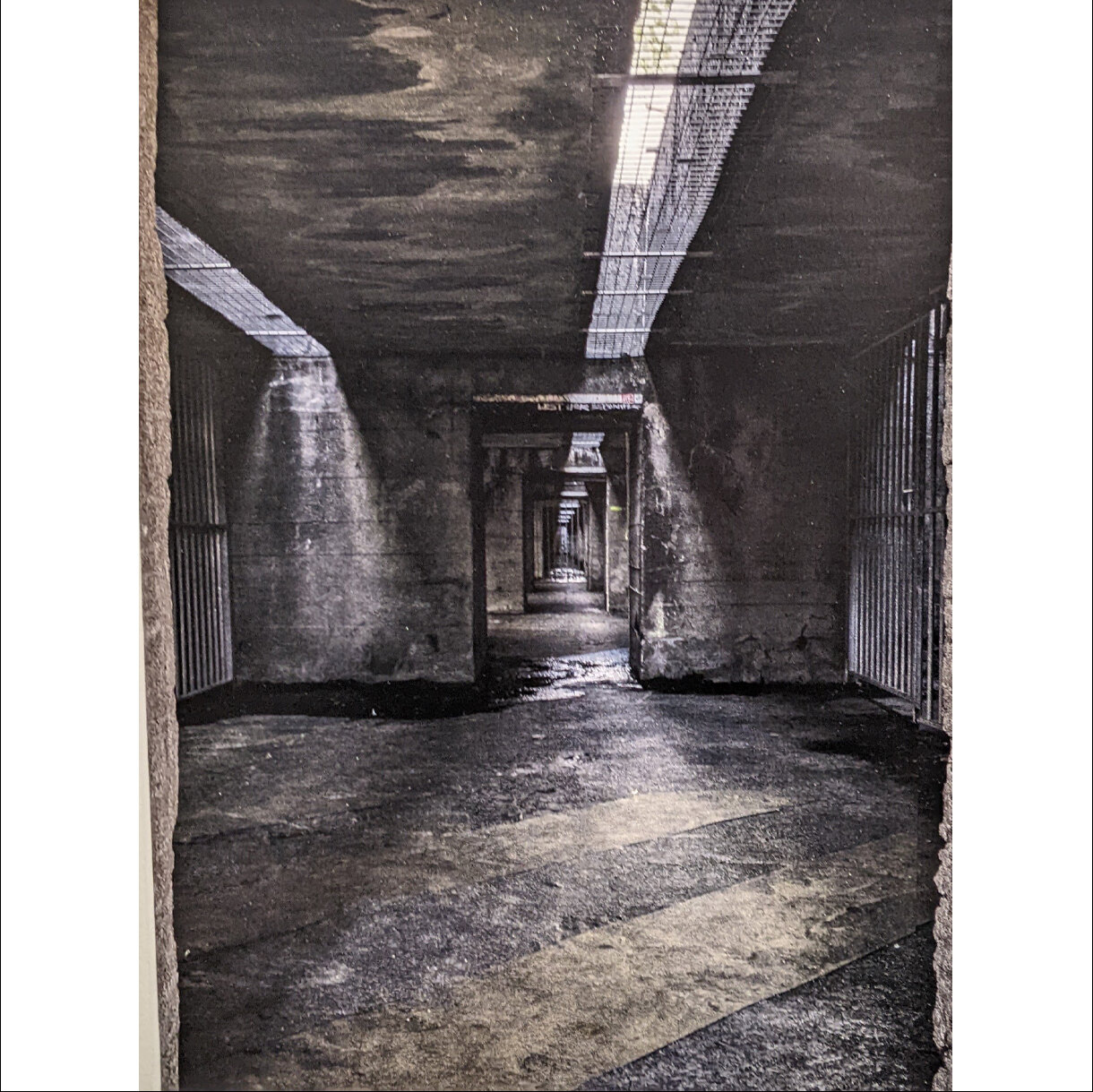Photo 23B de la série « Les racines dans le béton » par Erwann CAILLAREC