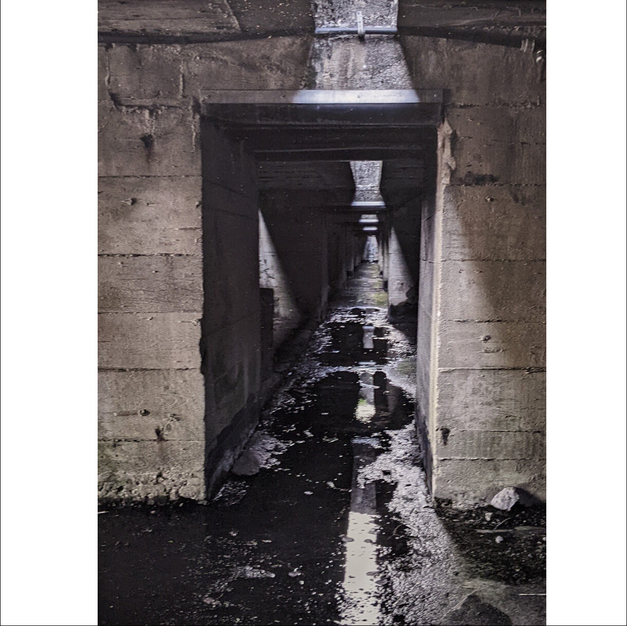 Photo 23C de la série « Les racines dans le béton » par Erwann CAILLAREC