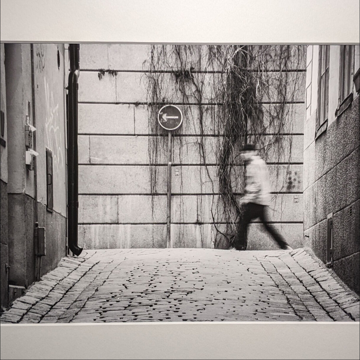 Photo 24A de la série « Des Ombres sans Leader » par Ophélie MOUTTE