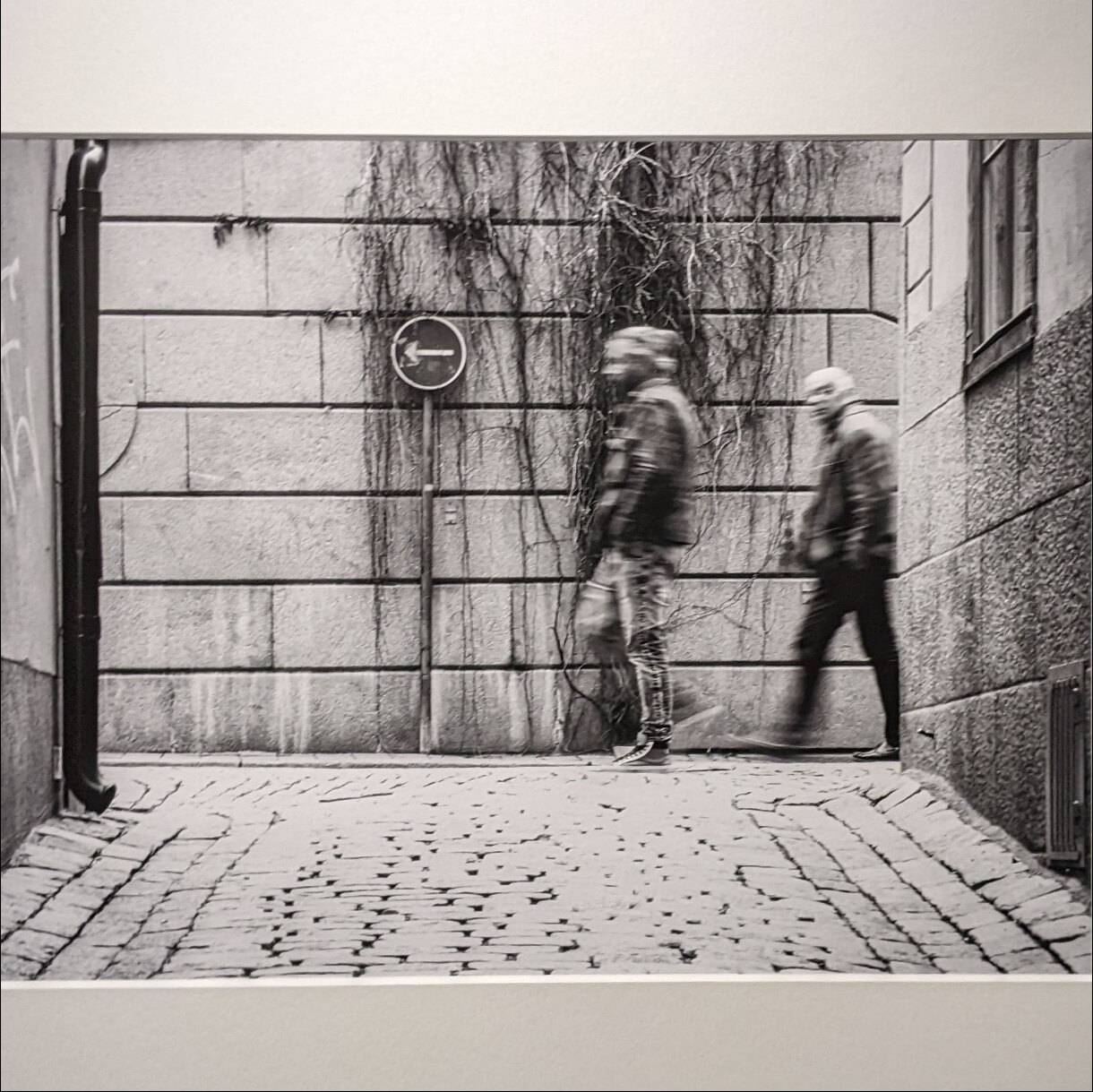 Photo 24C de la série « Des Ombres sans Leader » par Ophélie MOUTTE