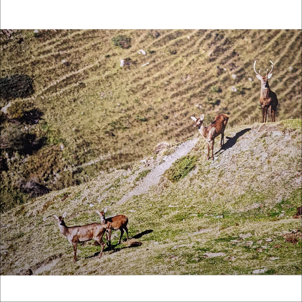 Photo 26A de la série « Rencontre à 2000 M » par Yves LOYEN