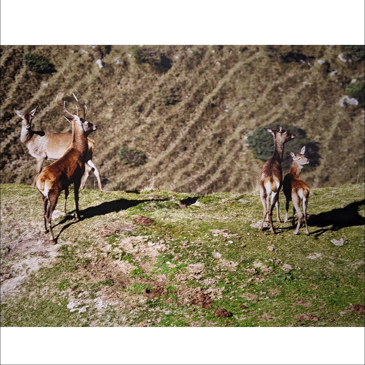 Photo 26B de la série « Rencontre à 2000 M » par Yves LOYEN