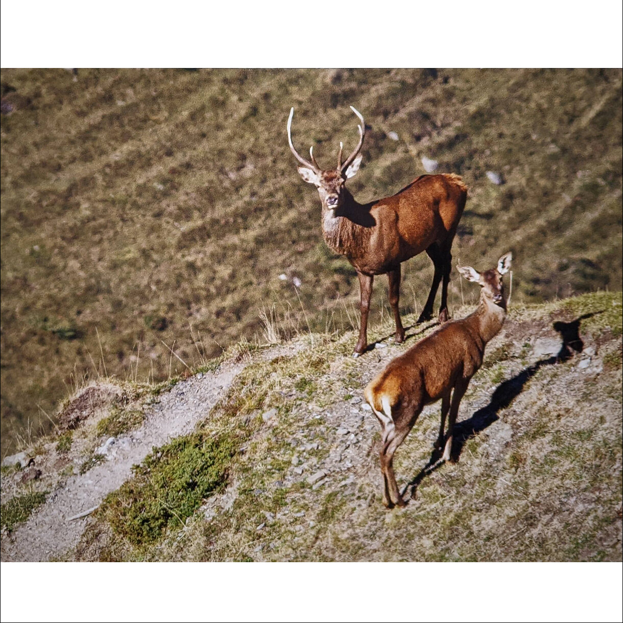Photo 26C de la série « Rencontre à 2000 M » par Yves LOYEN