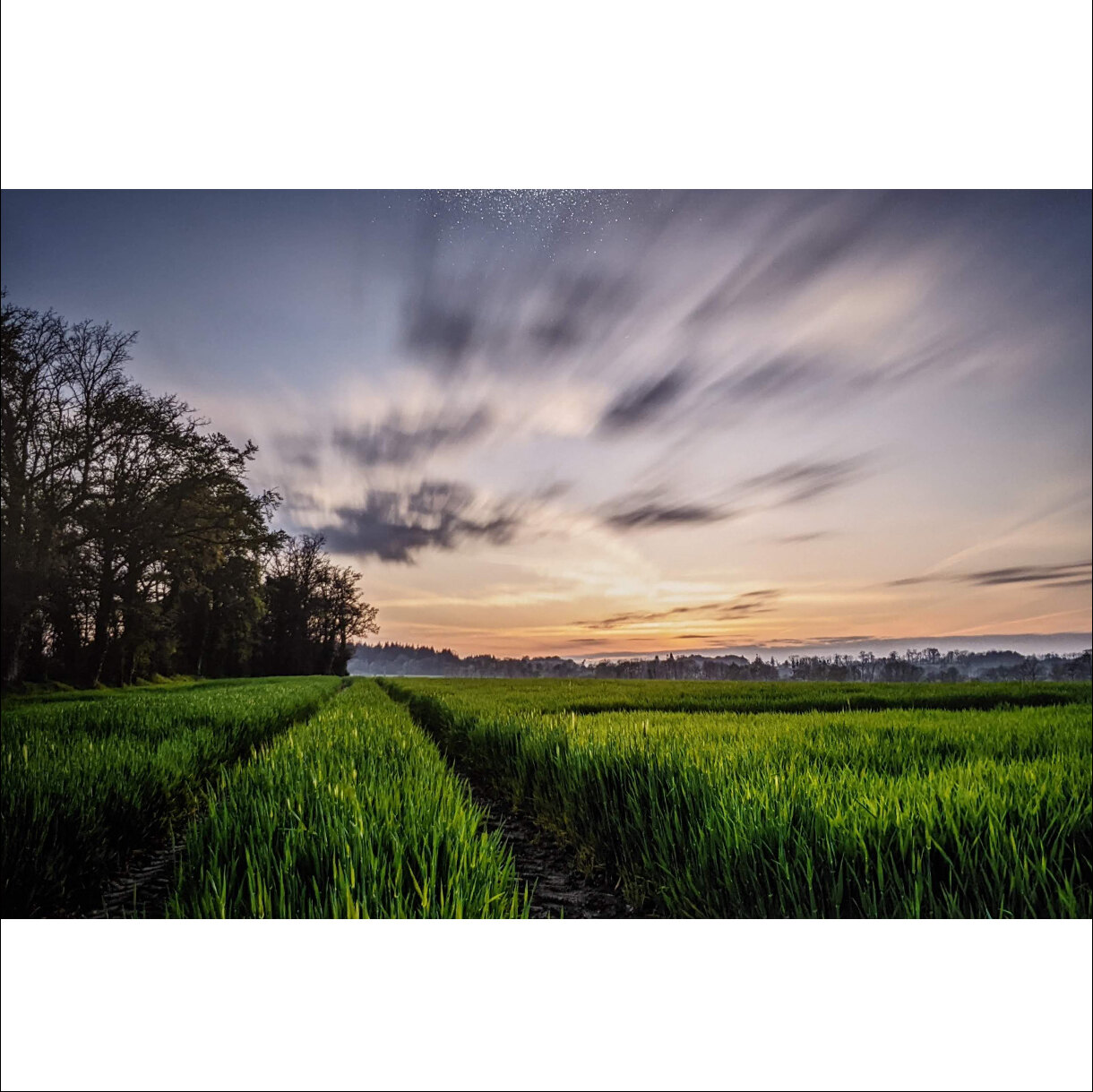 Photo 8A de la série « Le champ des possibles » par Gregory BOUE