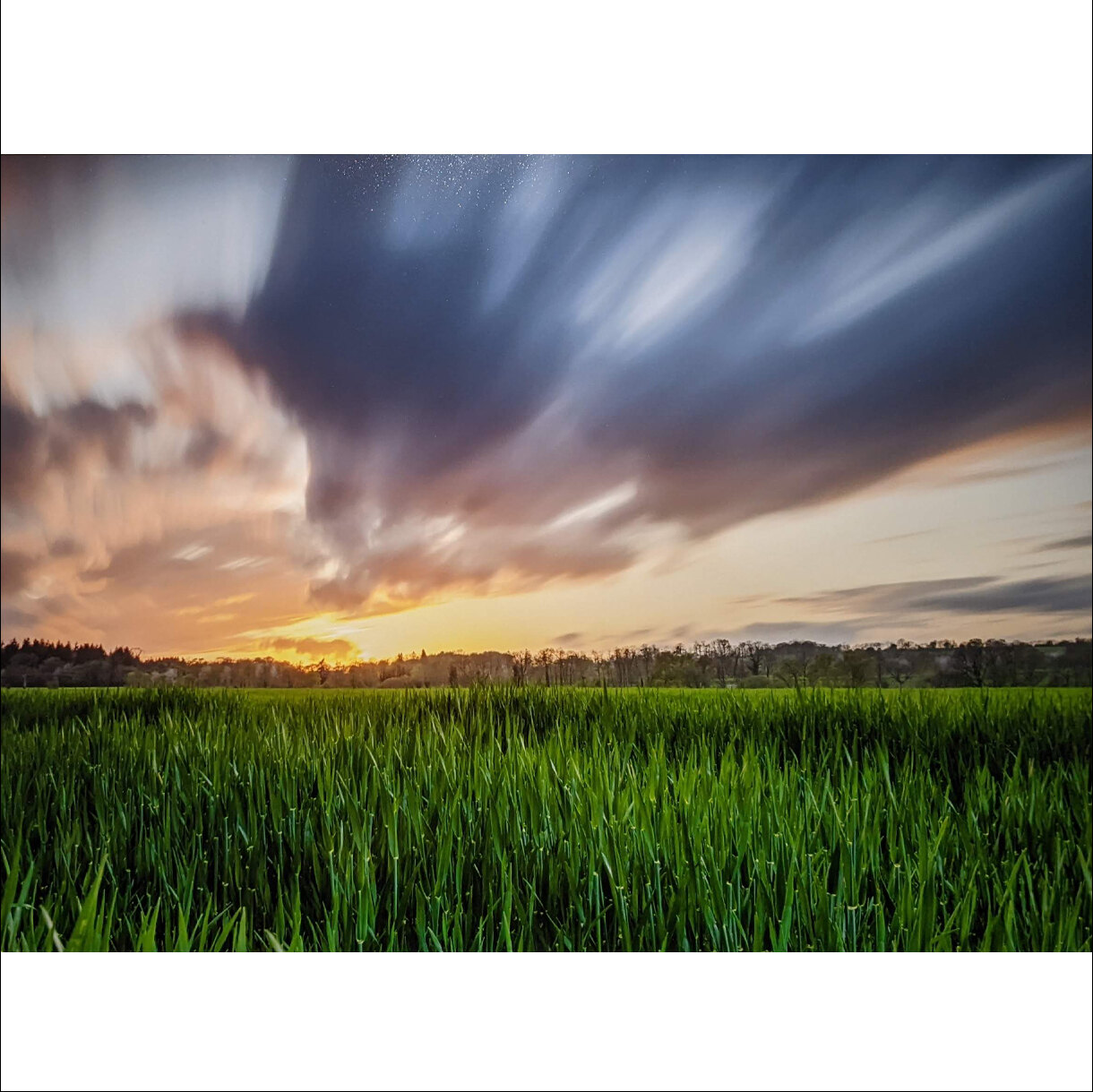 Photo 8B de la série « Le champ des possibles » par Gregory BOUE