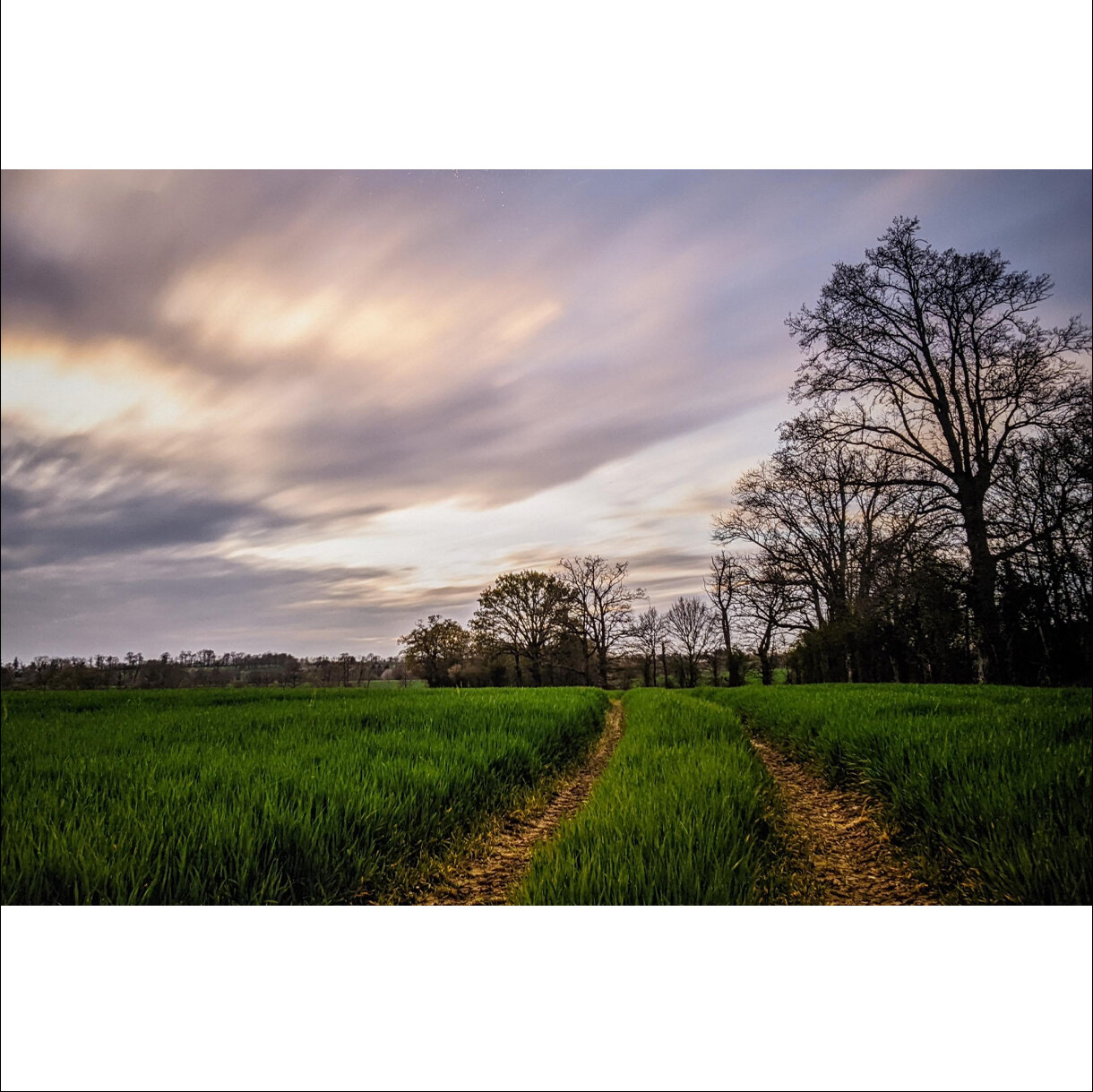 Photo 8C de la série « Le champ des possibles » par Gregory BOUE