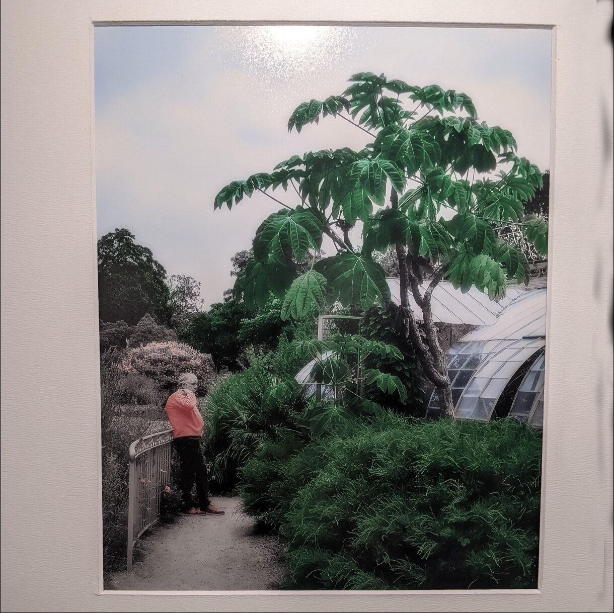 Photo 10A de la série « Retro Garden » par Erwann CAILLAREC