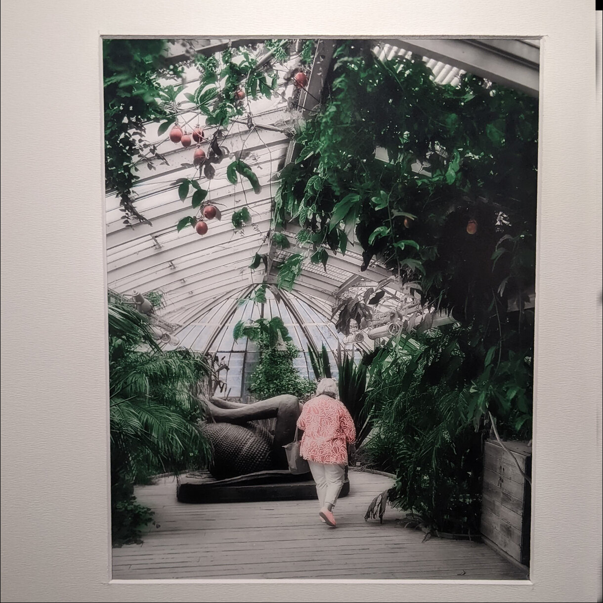 Photo 10B de la série « Retro Garden » par Erwann CAILLAREC