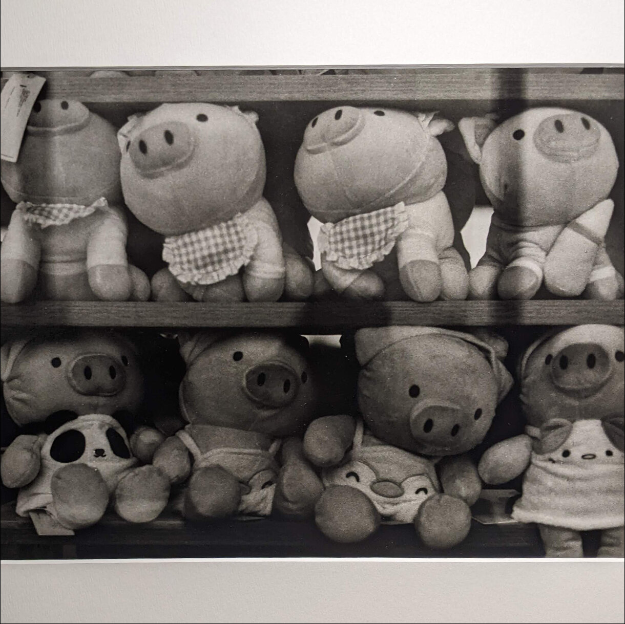 Photo 12A de la série « La grande évasion » par Laurent DUFLANC