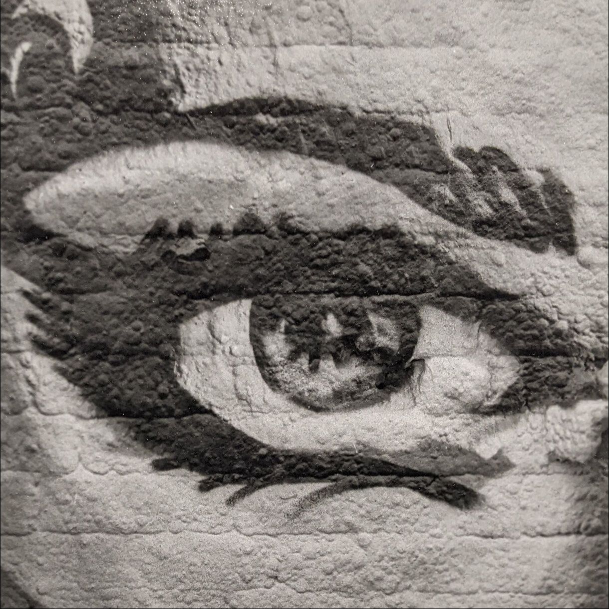 Photo 13B de la série « Les yeux sans visage » par Laurent DUFLANC