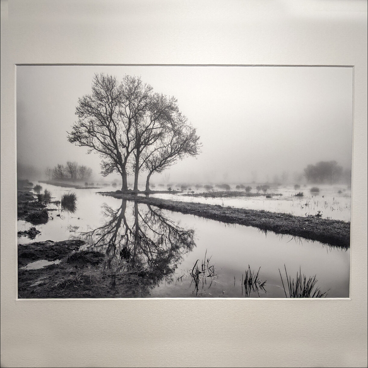 Photo 16A de la série « Levé de rideau » par Grégory BOUE