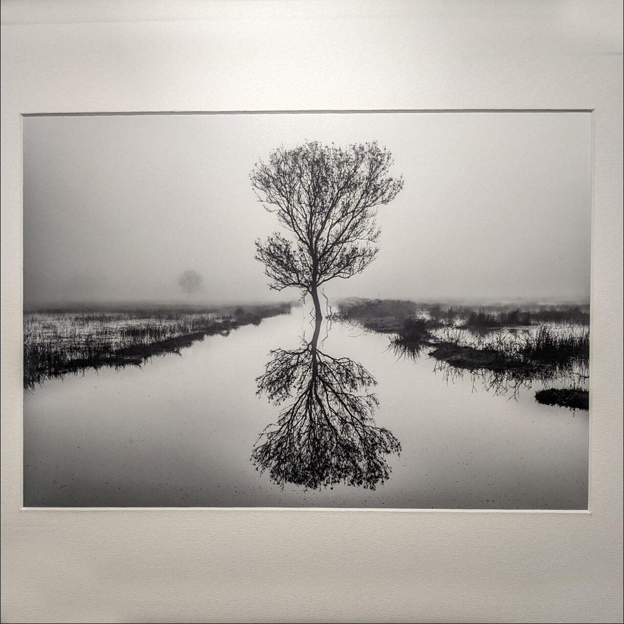 Photo 16B de la série « Levé de rideau » par Grégory BOUE