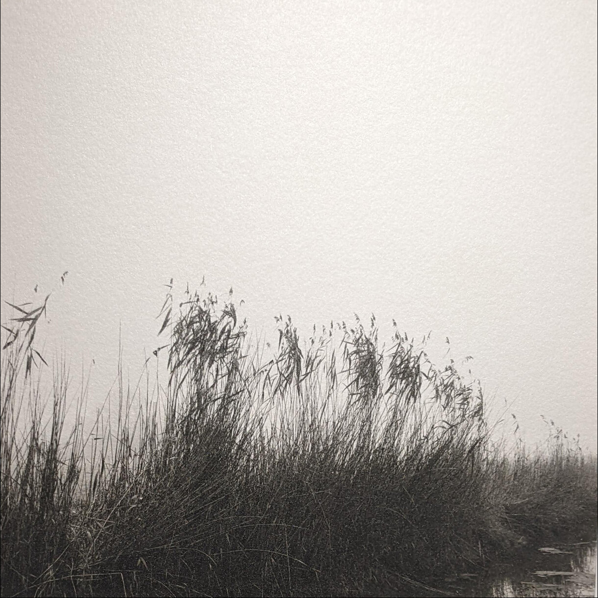 Photo 25C de la série « Nature » par Jean-Yves MAGUERO