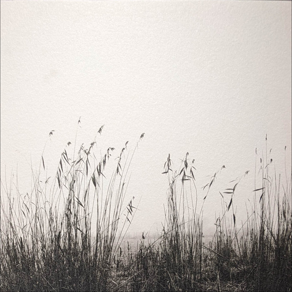 Photo 25D de la série « Nature » par Jean-Yves MAGUERO