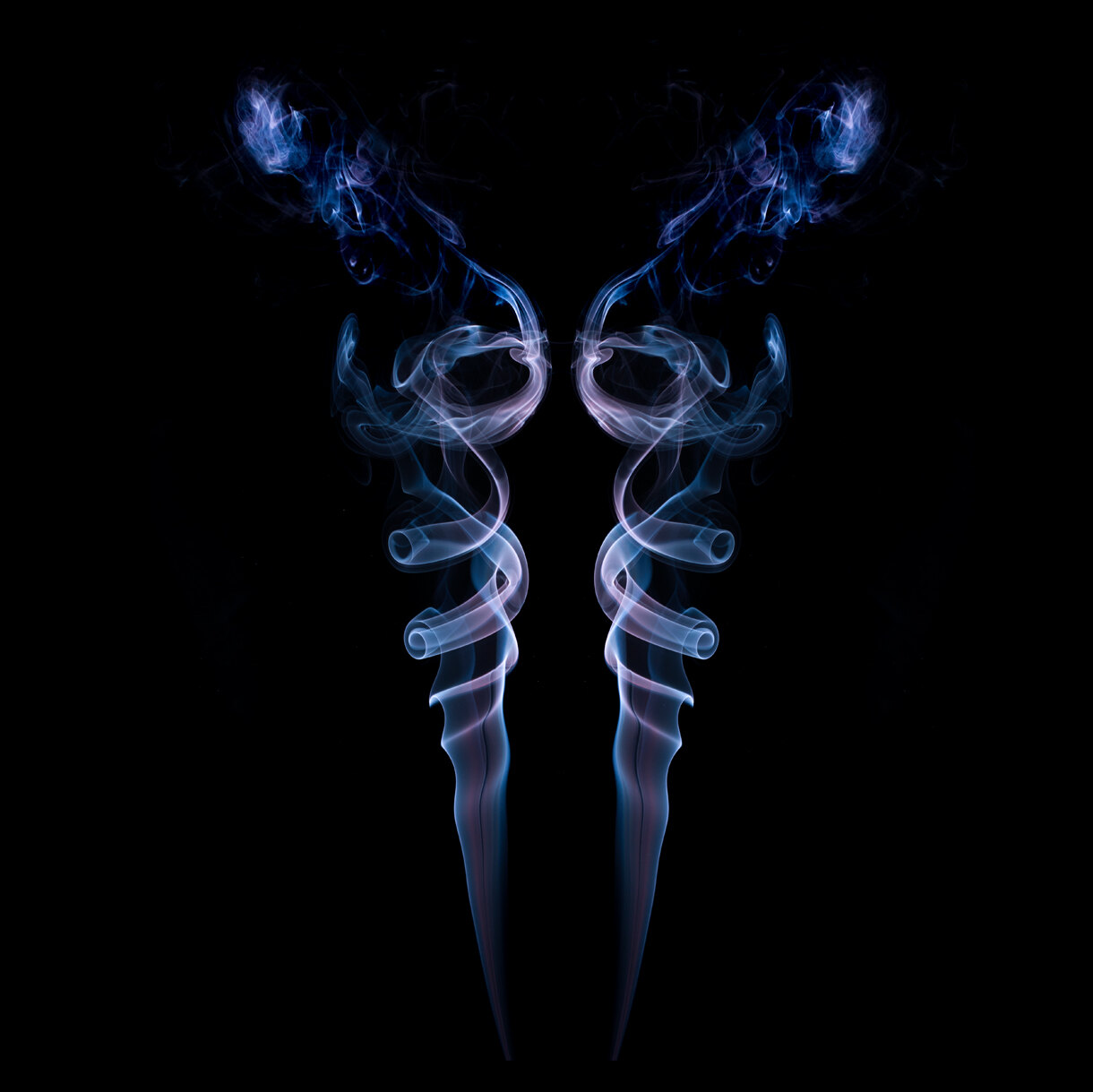 Photo 27B de la série « Au bal masqué, ohé ohé ! » par Ophélie MOUTTE
