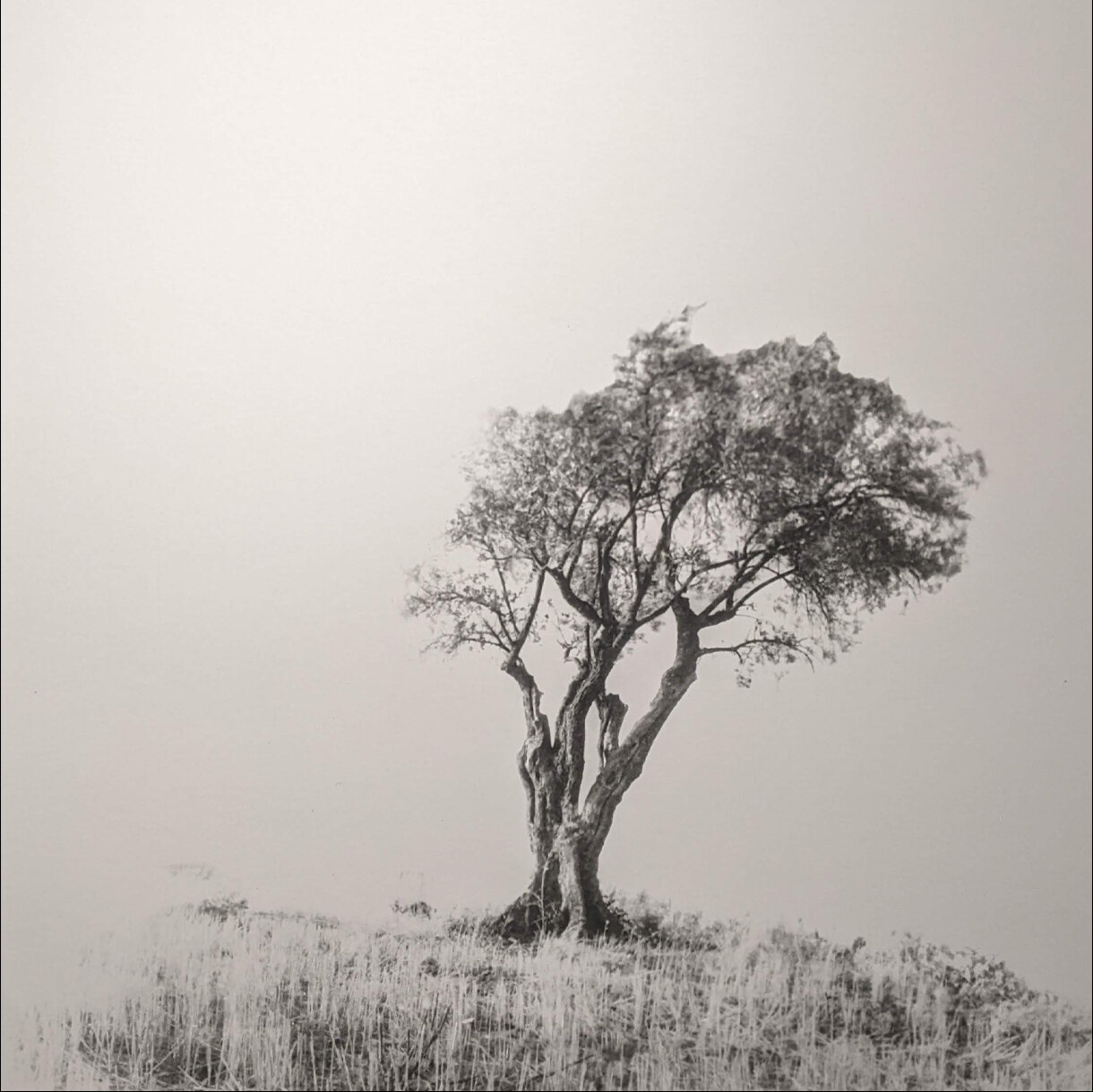 Photo 29A de la série « Solitude » par Jean-Pierre BEGAUT