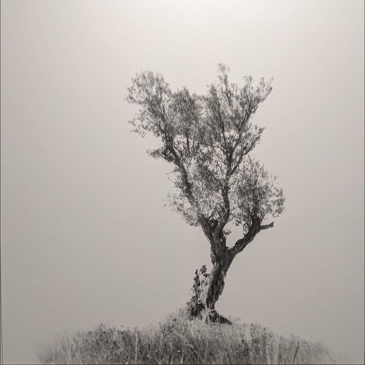 Photo 29B de la série « Solitude » par Jean-Pierre BEGAUT