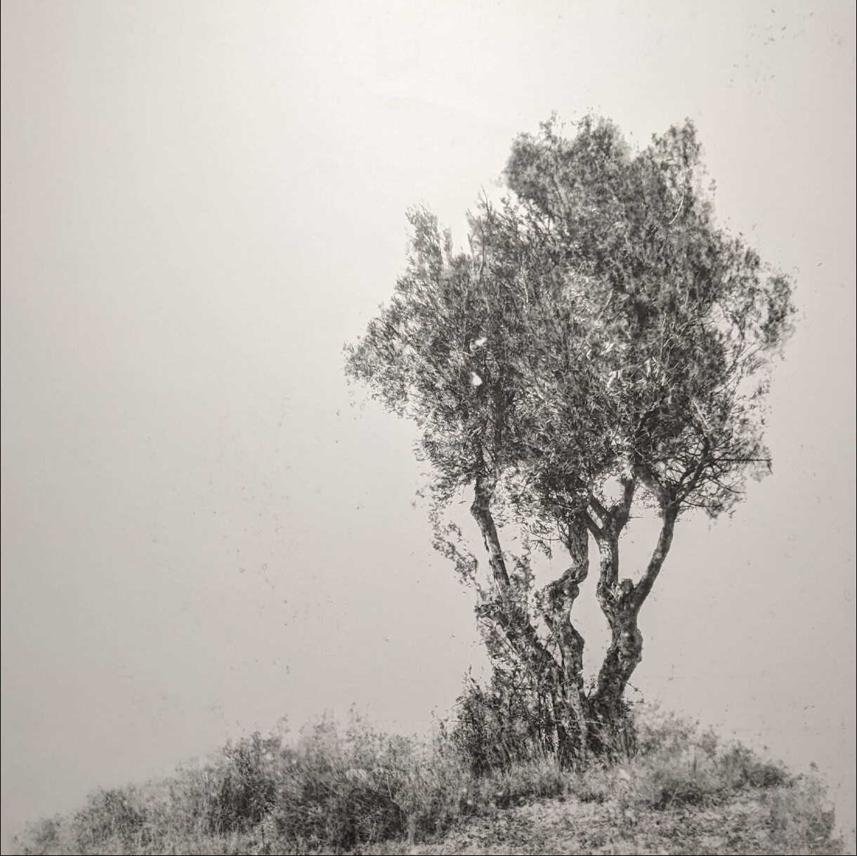 Photo 29C de la série « Solitude » par Jean-Pierre BEGAUT