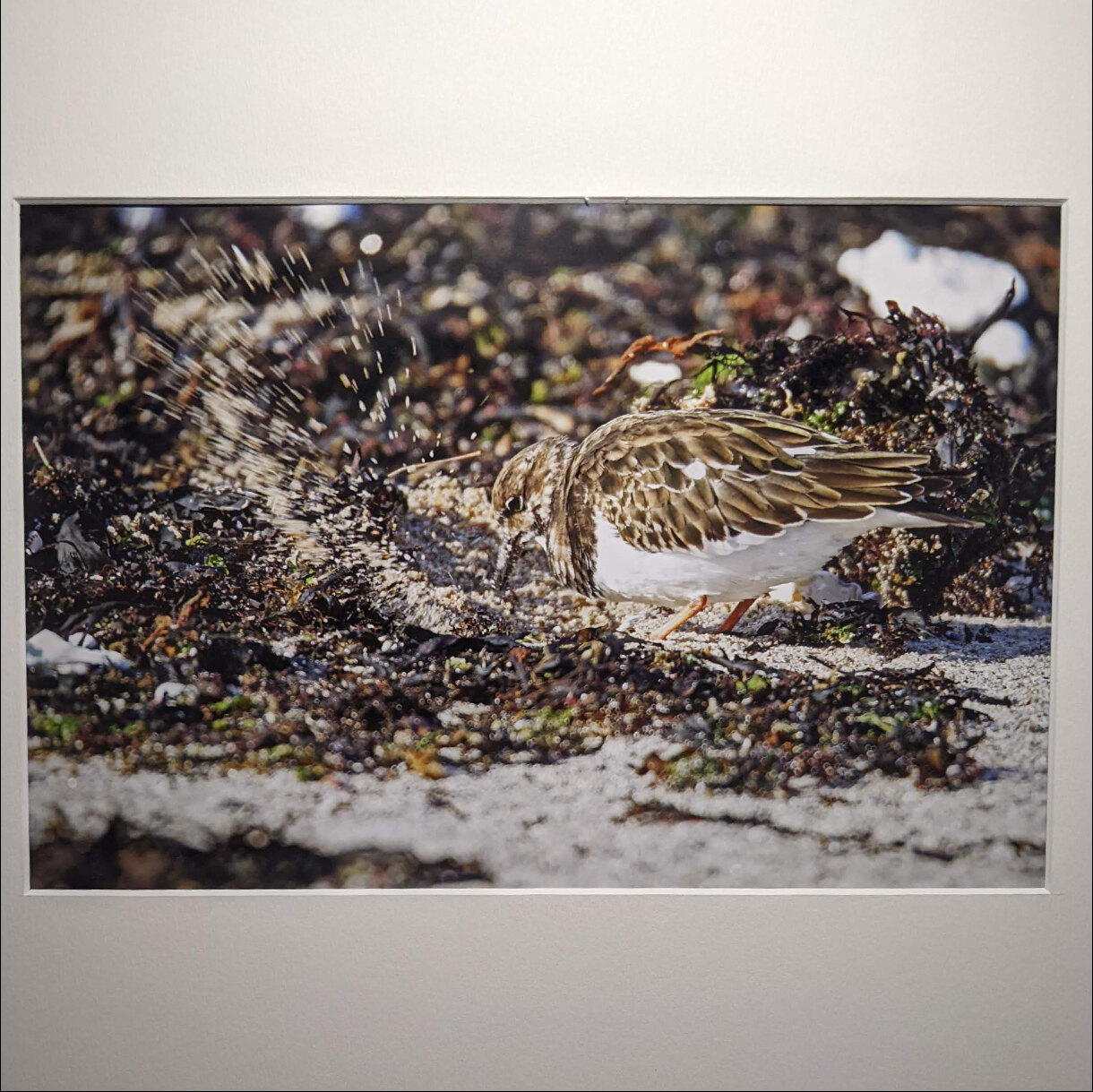 Photo 4A de la série « Tournepierre ou Tournesable » par Yves LOYEN
