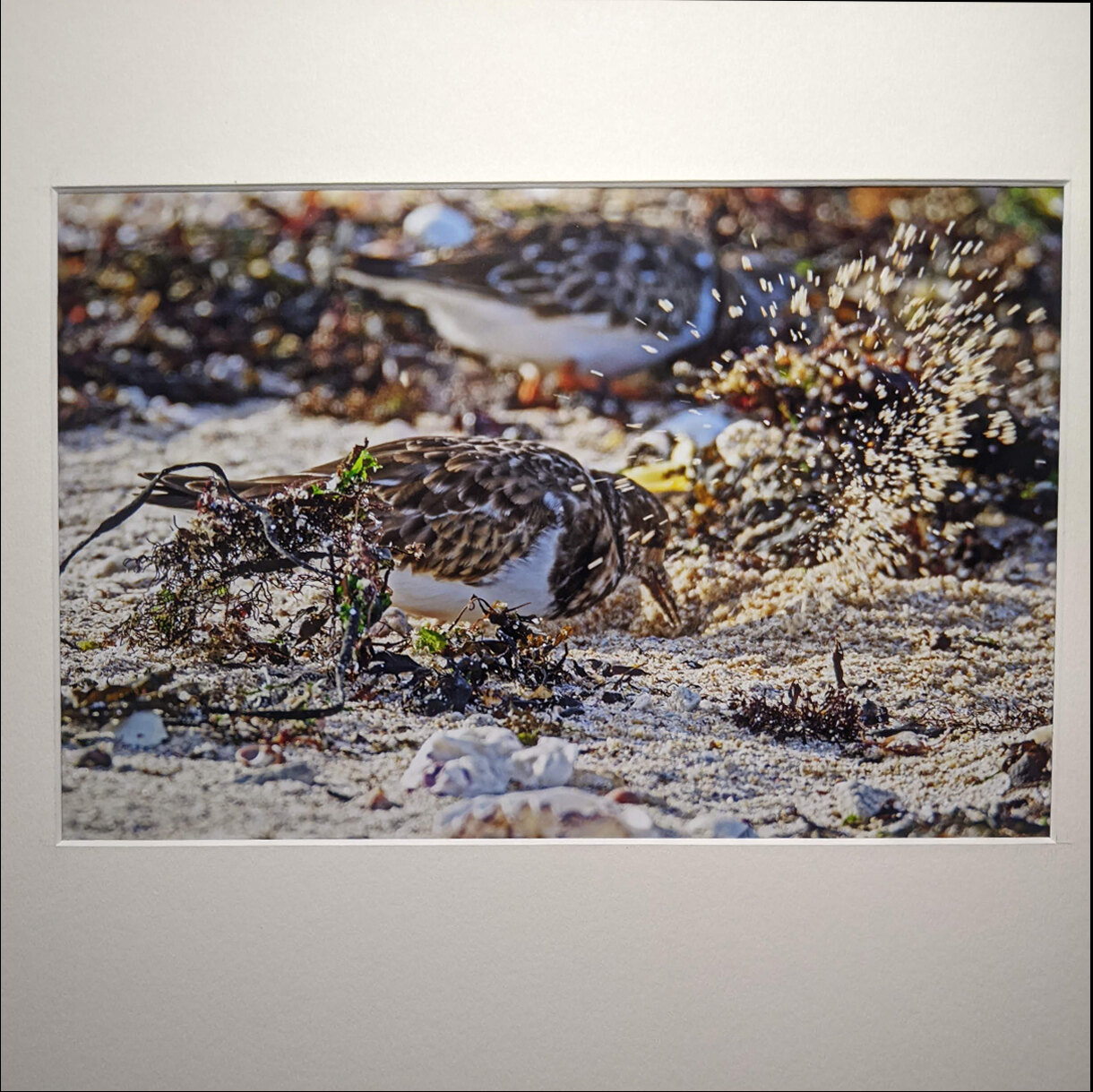 Photo 4B de la série « Tournepierre ou Tournesable » par Yves LOYEN