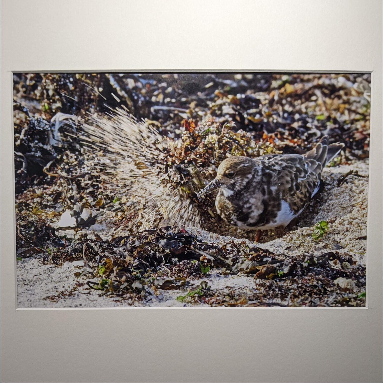 Photo 4C de la série « Tournepierre ou Tournesable » par Yves LOYEN