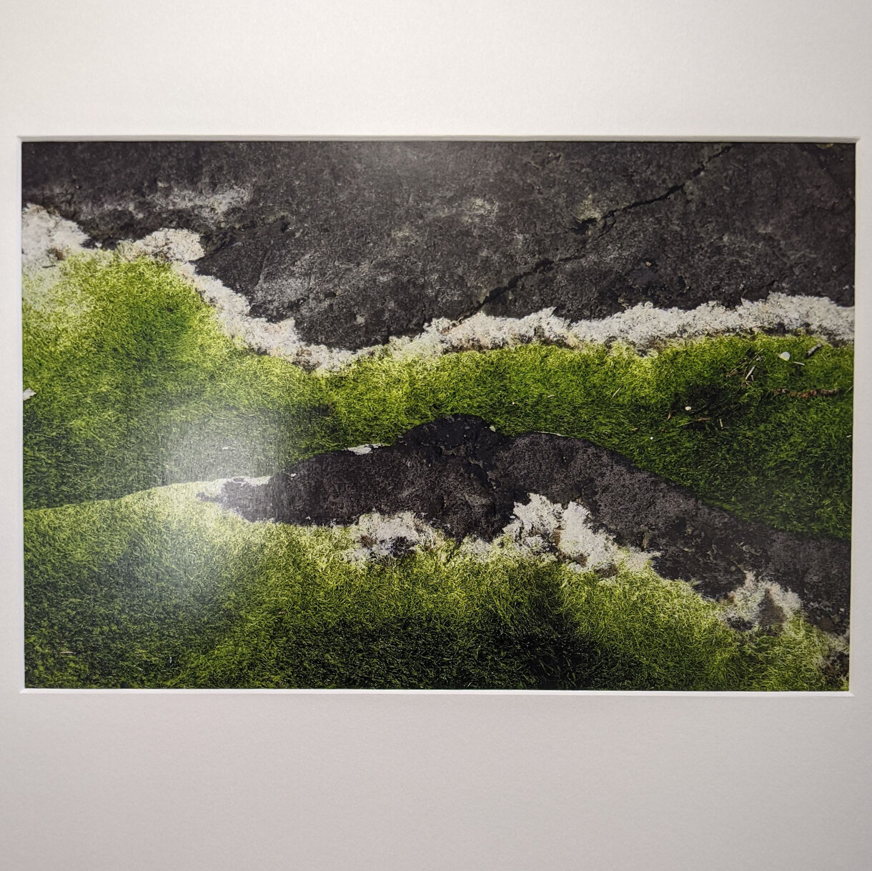 Photo 9C de la série « Survivre » par Jean-Charles MAHAUD